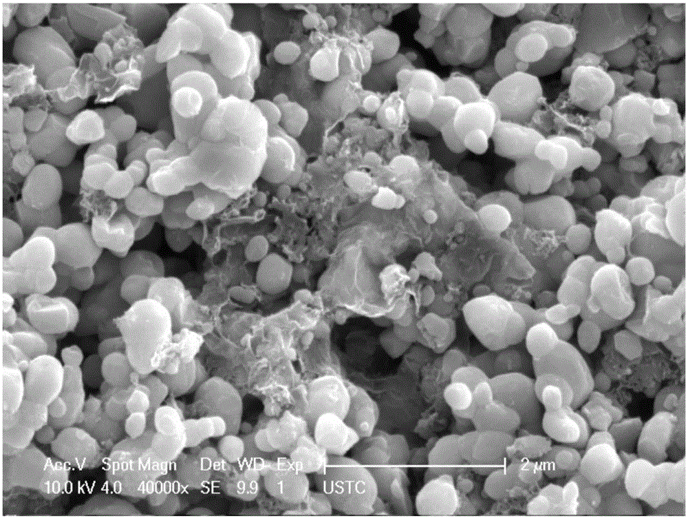 Preparation method of graphene/lithium iron phosphate composite material