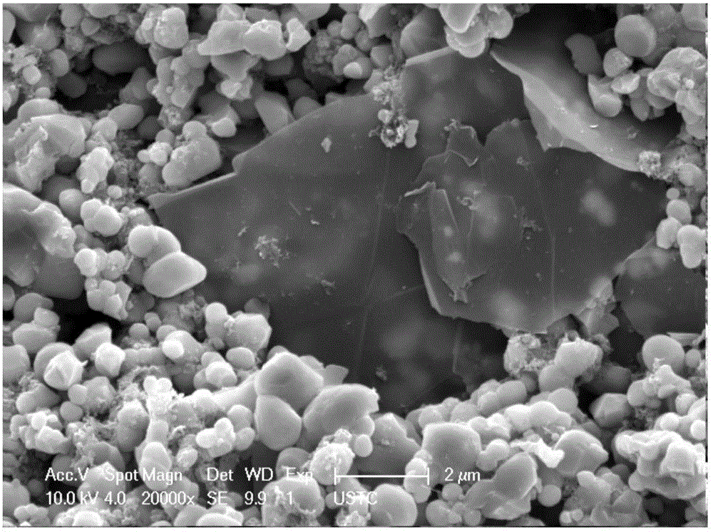 Preparation method of graphene/lithium iron phosphate composite material