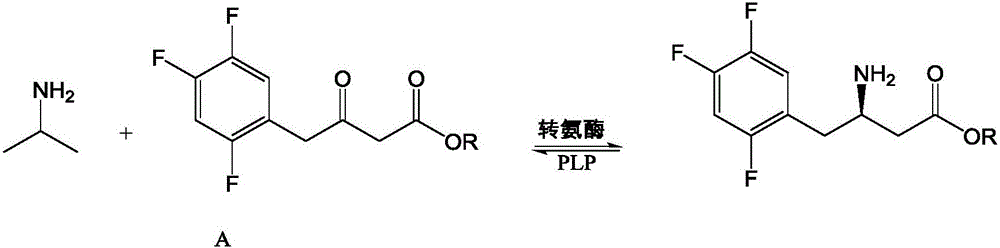 Recombinant transaminase as well as preparation method and application of recombinant transaminase