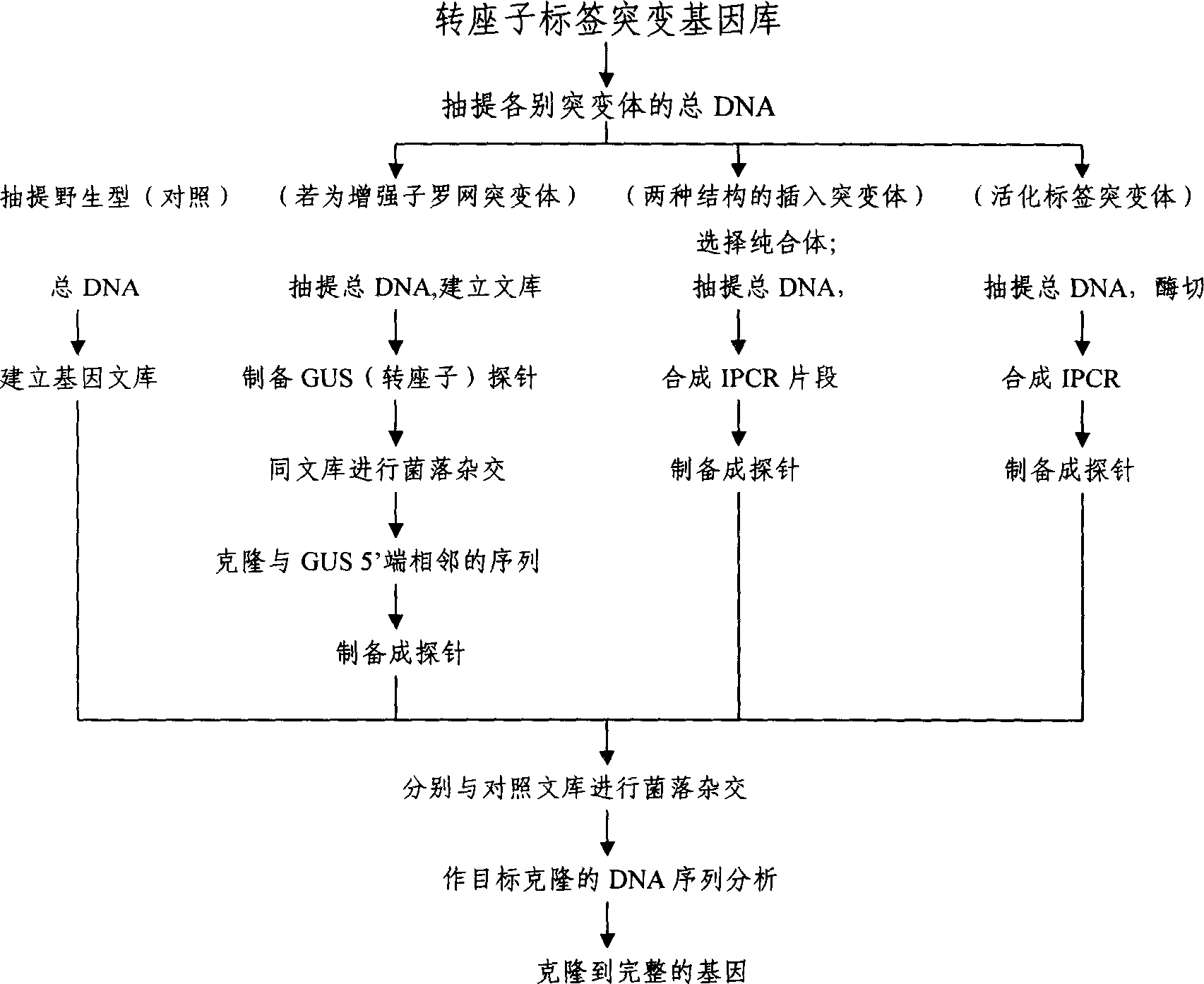 Method for large-scale inducing plant gene mutation