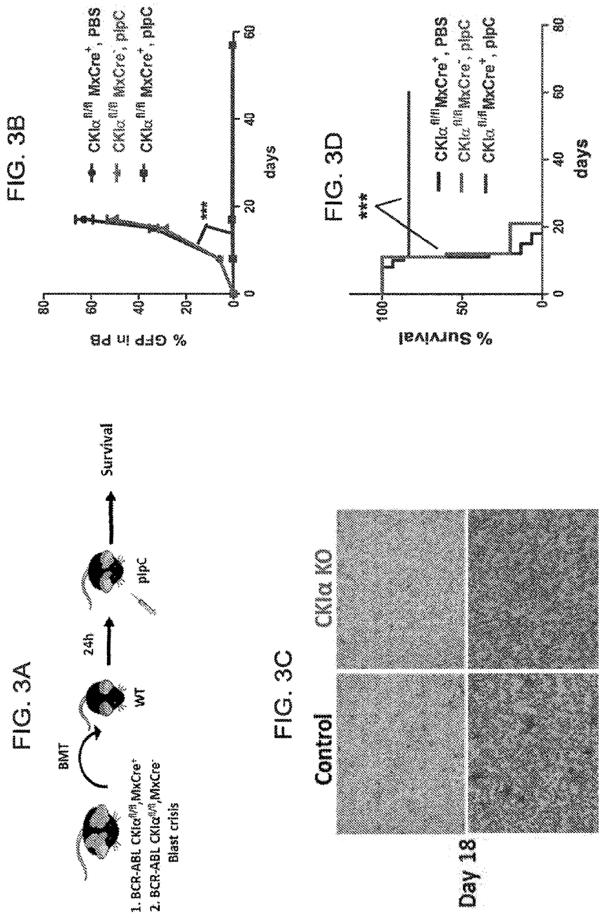 Method of eliminating stem cells