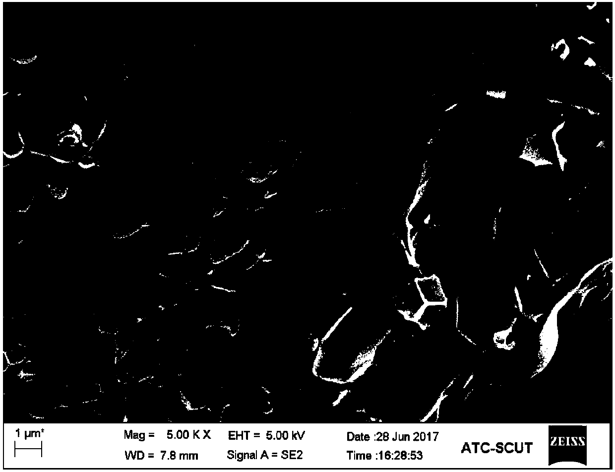 Porous and high-specific-surface-area bismuth-nanoparticle-modified nitrogen-doped carbon nanosheet material and a preparation method and application thereof