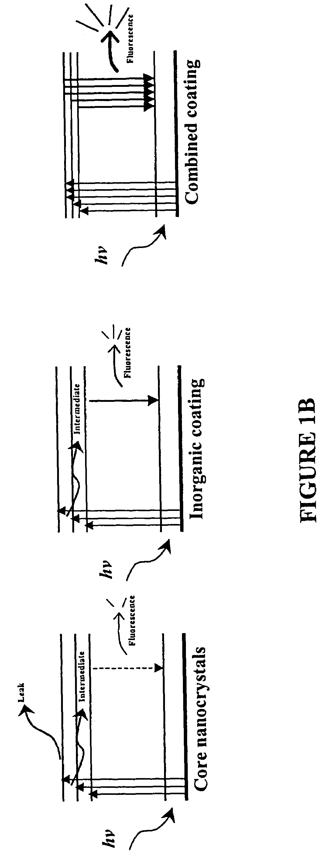 Functionalized fluorescent nanocrystal compositions and methods of making