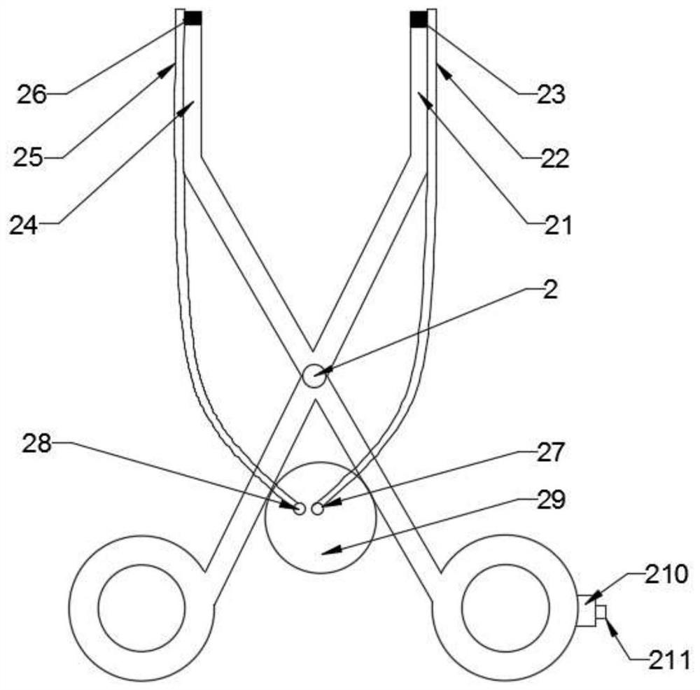 Easy-to-take pessary assembly for gynaecology and obstetrics