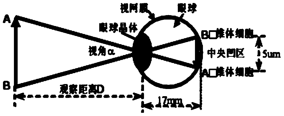 Cylindrical lens grating 3D television watching system