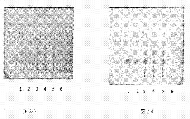 Chinese medicinal composition and detection method for Chinese medicinal composition preparation