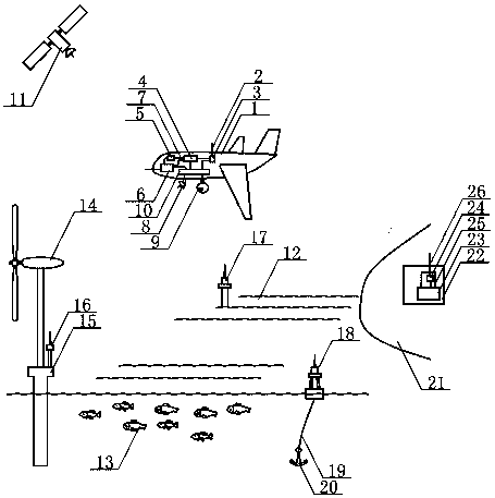 Beidou navigation and positioning based unmanned aerial vehicle fish shoal detecting system