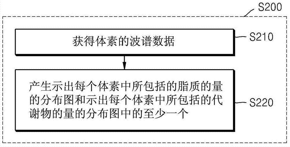 Method and apparatus for removing distortion by lipids from magnetic resonance spectroscopic image