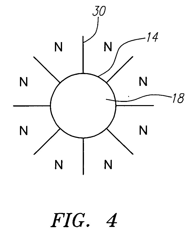 Animal pill magnet having single polarity