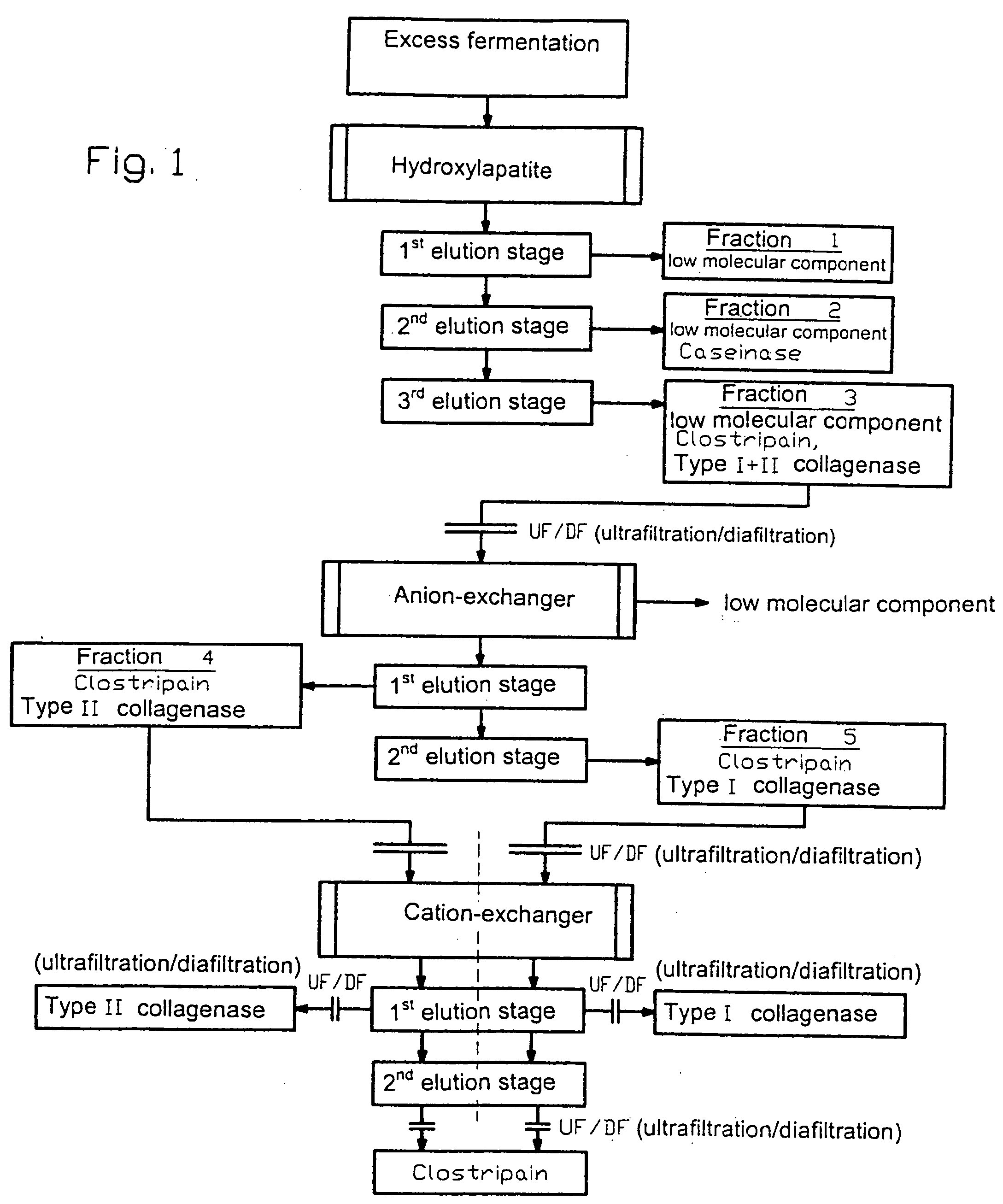 Method for purifying an enzyme, a purified enzyme produced thereby, and use of this enzyme