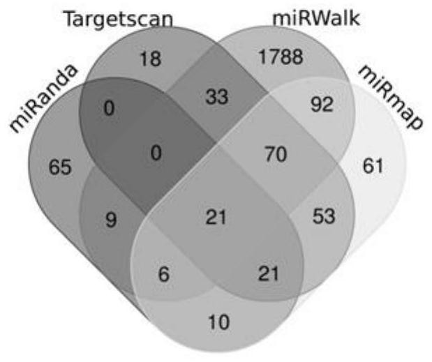 Application of microRNA-302c-3p as an NLRP3 inhibitor