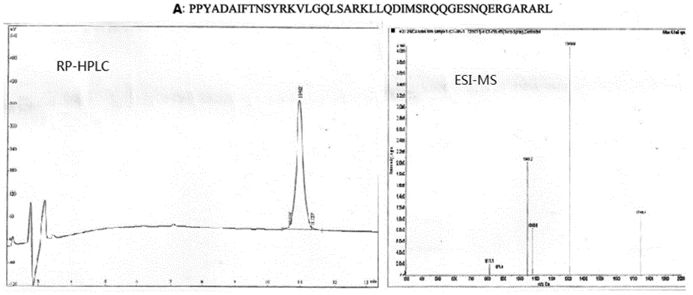 Novel growth hormone releasing hormone analog peptides and application thereof in preparing medicines for treating infertility