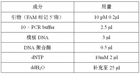 Molecular marker, primers and probe for identification of tricholoma imbricatum