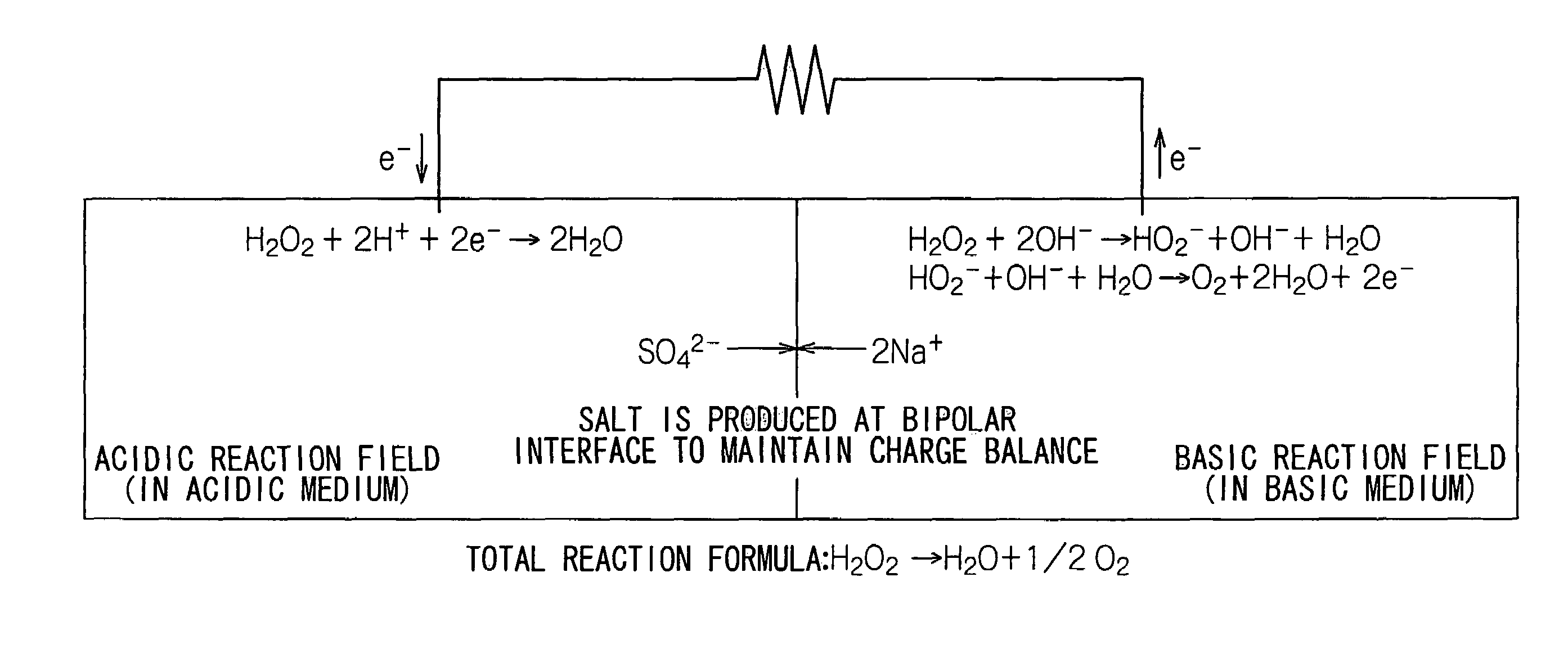 Water-activated cell and method of power generation