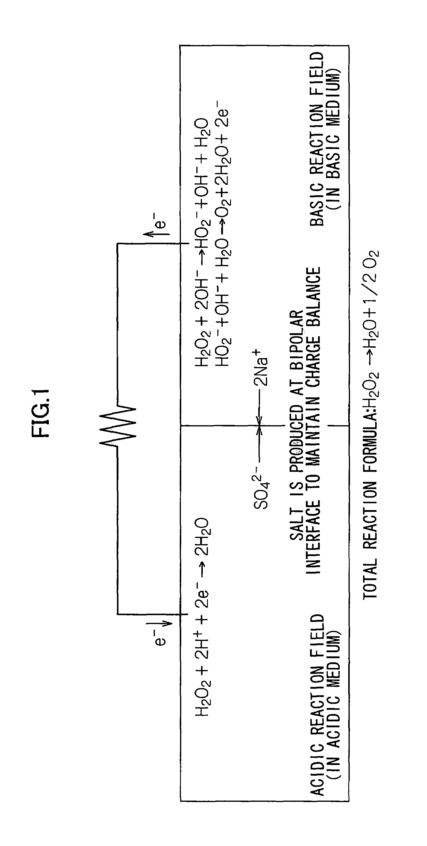 Water-activated cell and method of power generation