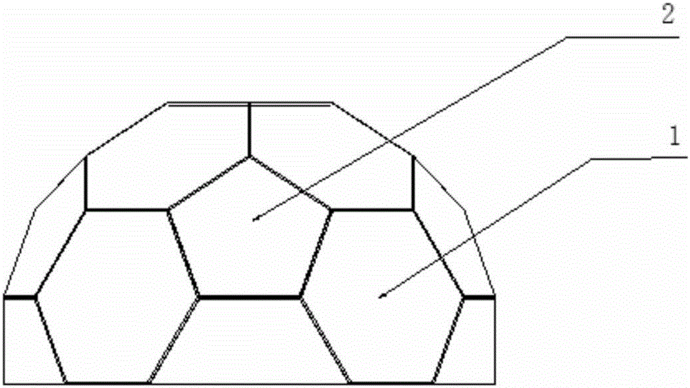 Transparent field observation device