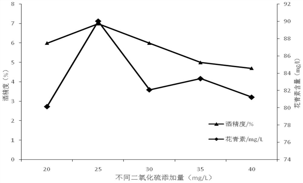 Production method of antioxidant blackcurrant-raisin fruit wine