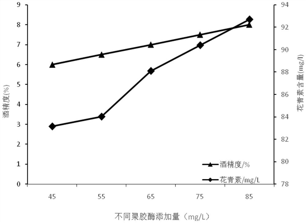 Production method of antioxidant blackcurrant-raisin fruit wine