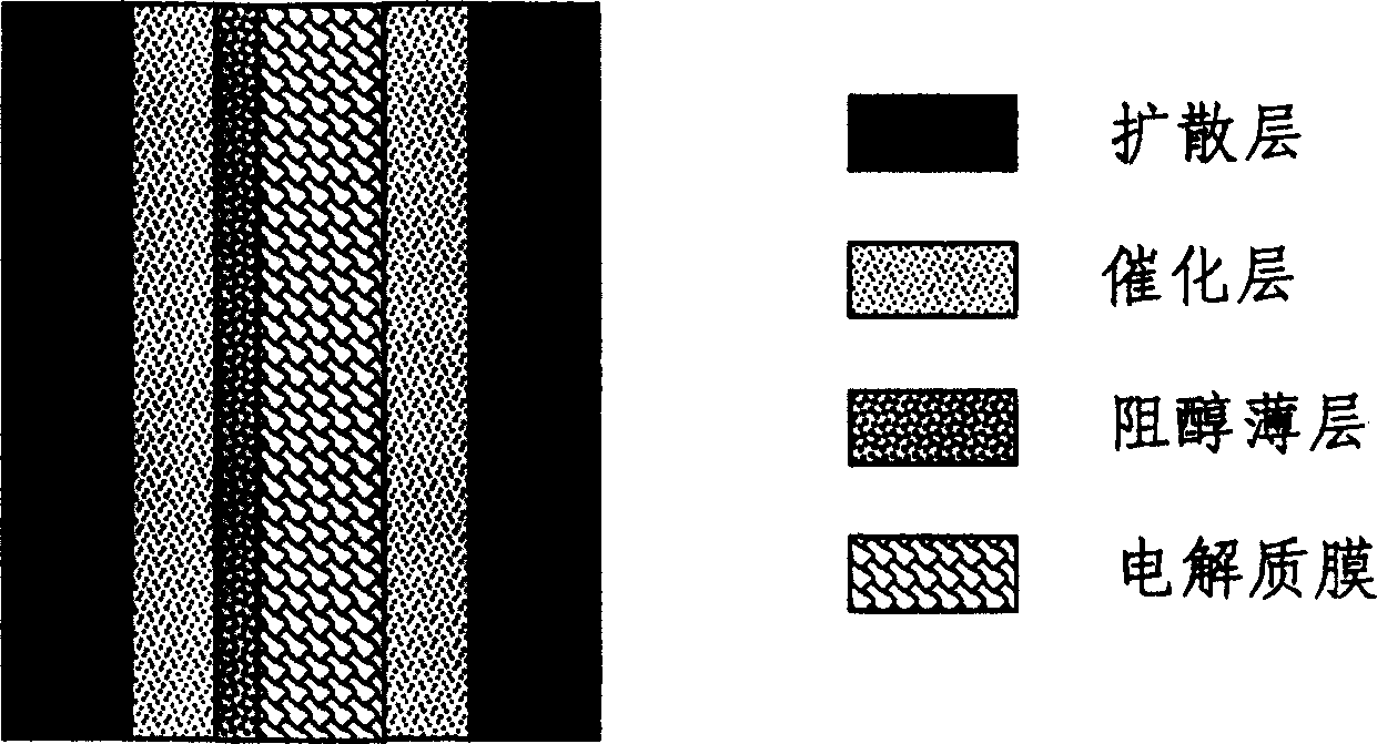 Proton exchange membrane of direct alcohol fuel cell and method for preparing membrane electrode