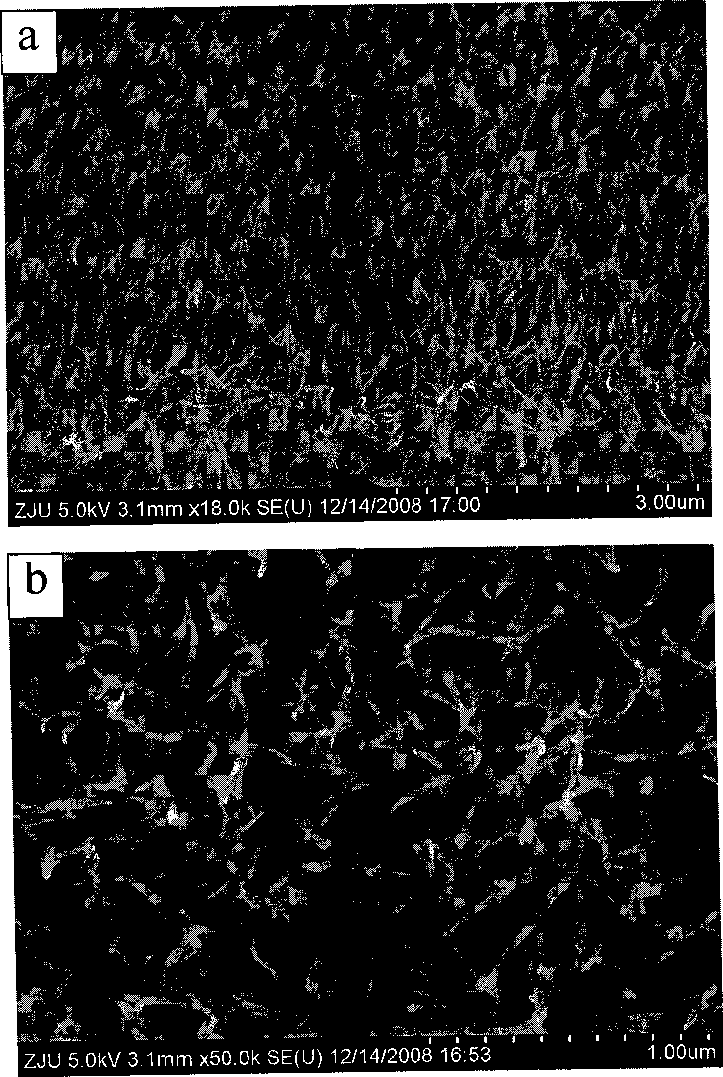 Method for producing nano-wire array film of titanium dioxide