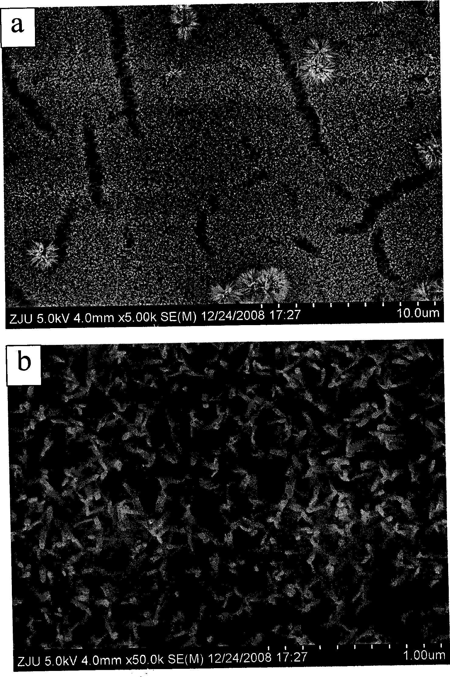 Method for producing nano-wire array film of titanium dioxide