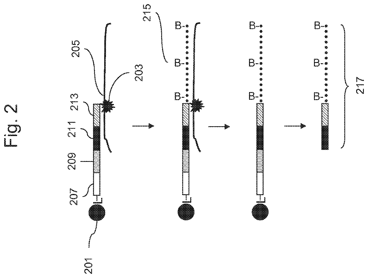 Methods for genotyping