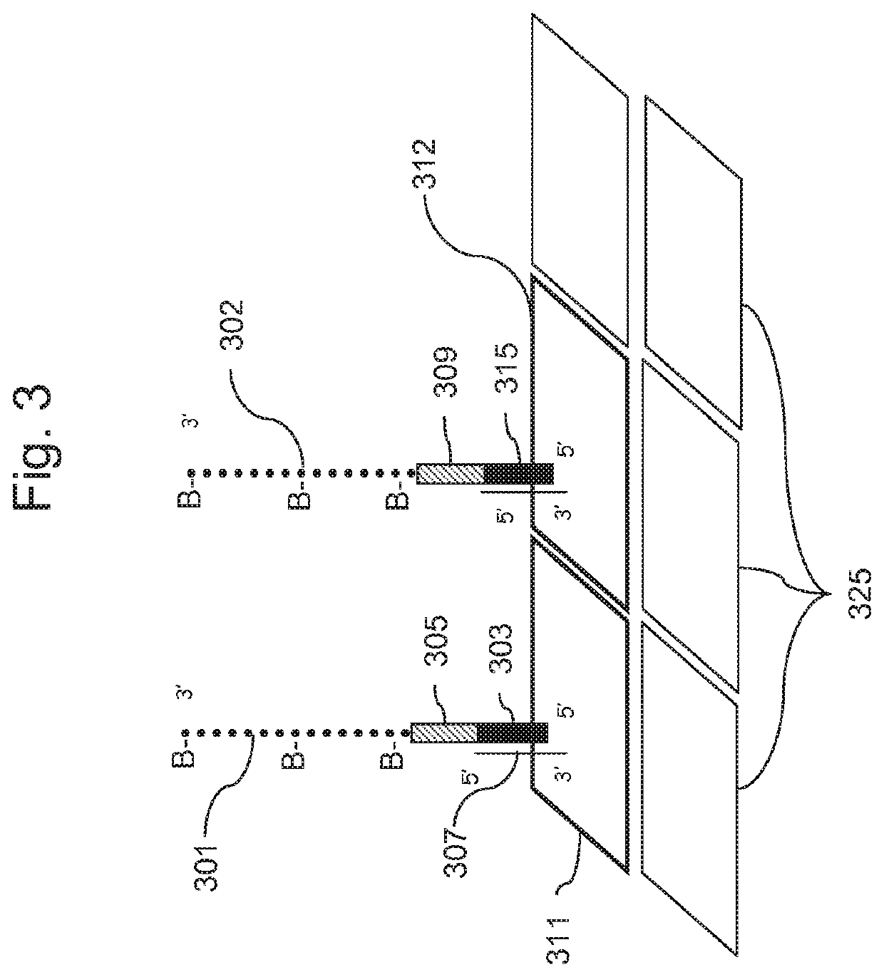 Methods for genotyping