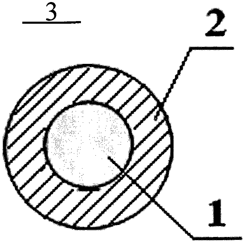 Magnetic polymer particle, its preparation method and its application