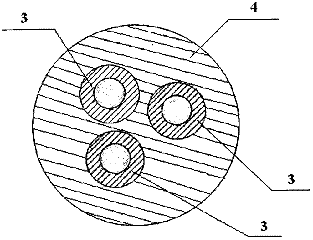 Magnetic polymer particle, its preparation method and its application