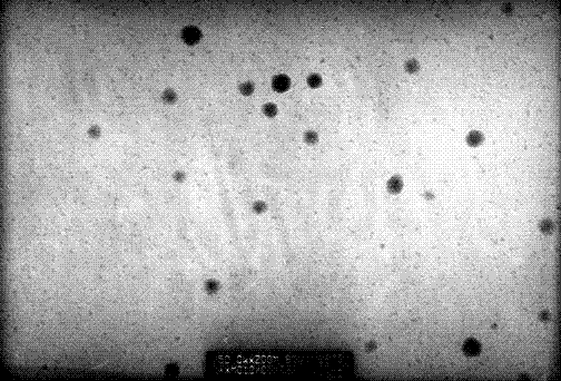 Methylphenol-containing nano-emulsion disinfectant and its preparation method