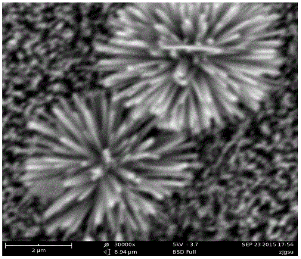 Composite titanium dioxide nanoflower photoelectrocatalysis material and preparation and application thereof