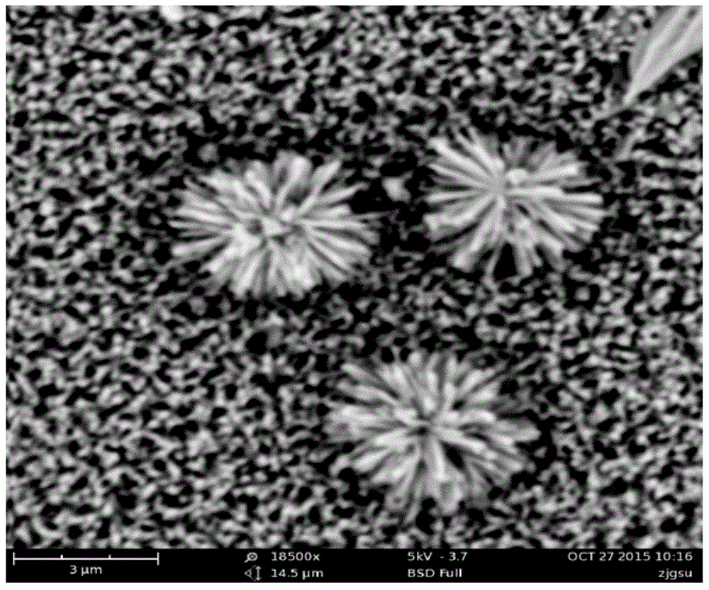 Composite titanium dioxide nanoflower photoelectrocatalysis material and preparation and application thereof