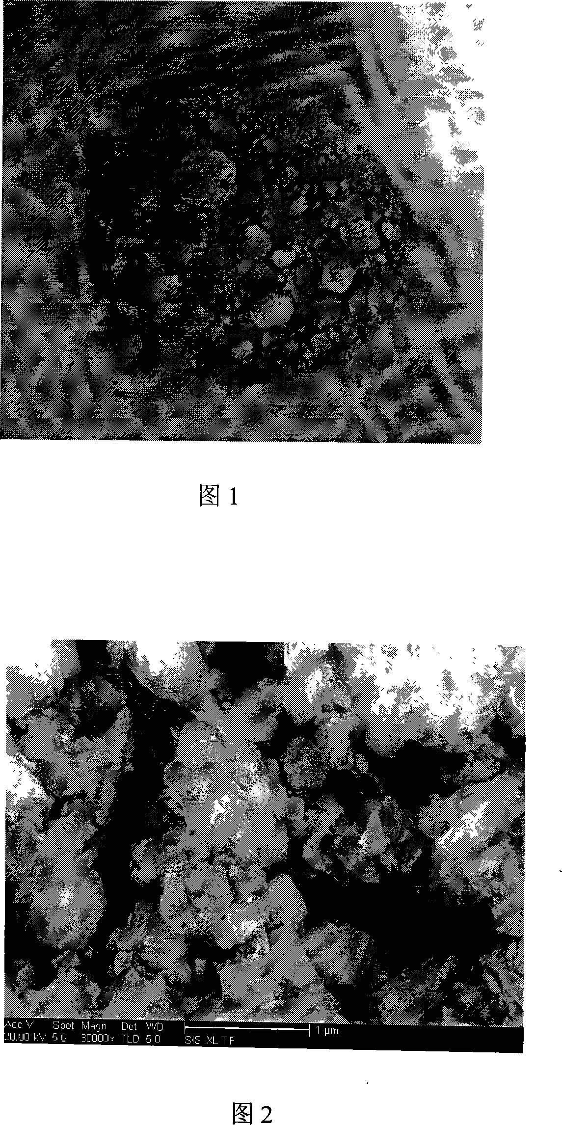 Organic powder using tourmaline manganese-supported to inhibit sulfate-reducing-bacteria and preparation method