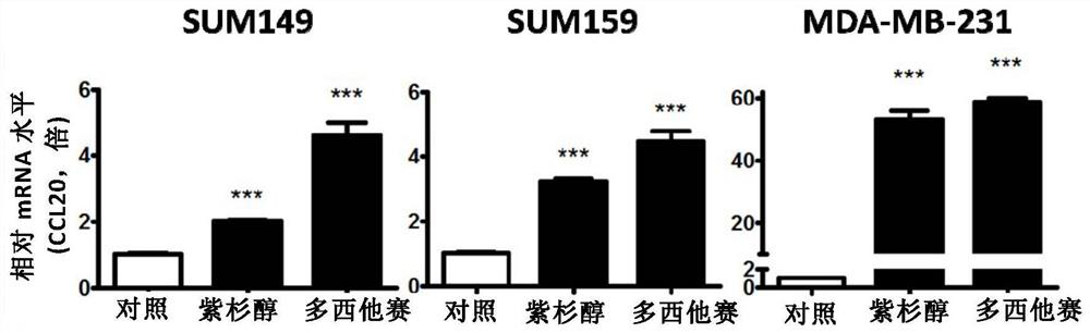 Application of ccl20 in tumor chemotherapy efficacy evaluation and tumor treatment