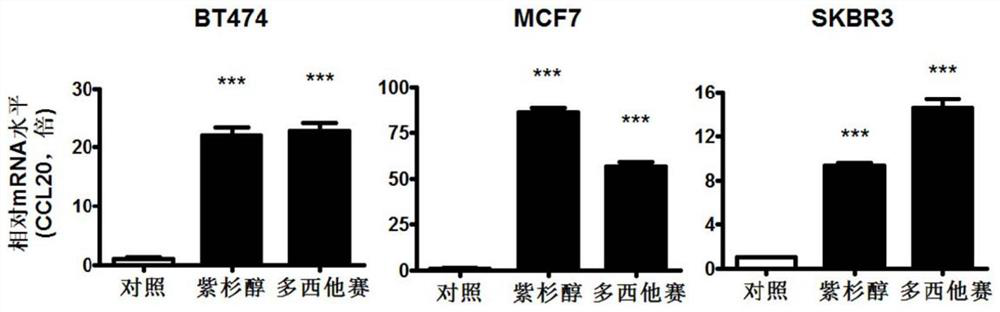 Application of ccl20 in tumor chemotherapy efficacy evaluation and tumor treatment