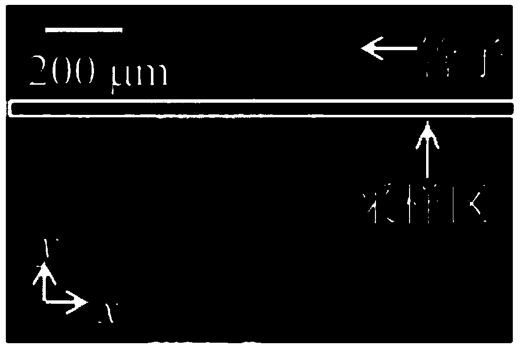 Frequency domain laser speckle imaging based blood flow velocity measuring method