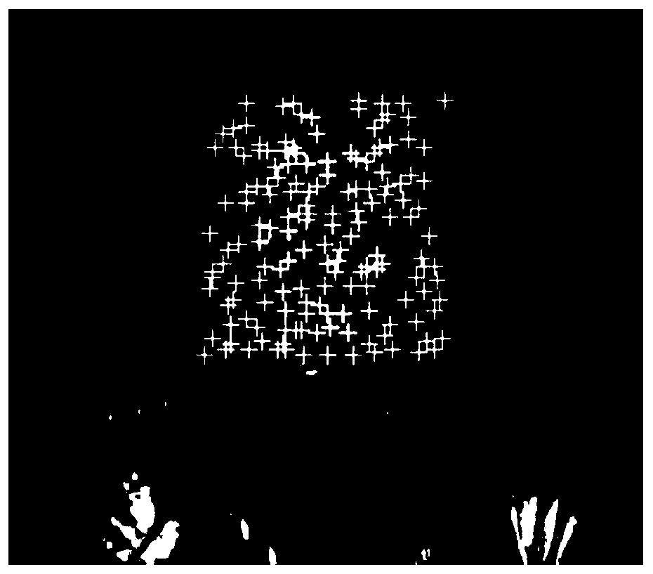 Non-contact heart rate detection method based on near-infrared video