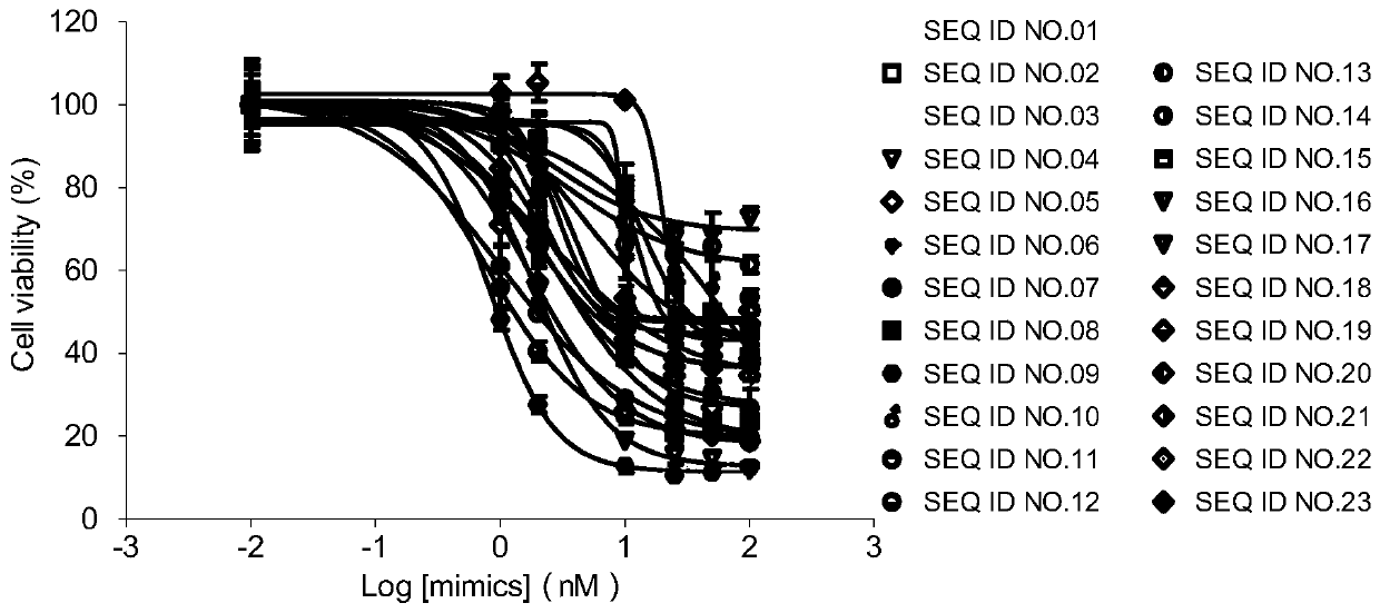 Micro RNA and application thereof in preparation of an anti-tumor drug