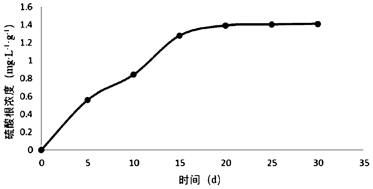 Carbon-based slow-release phosphorus absorption coagulant for farmland ditch water treatment and preparation method thereof