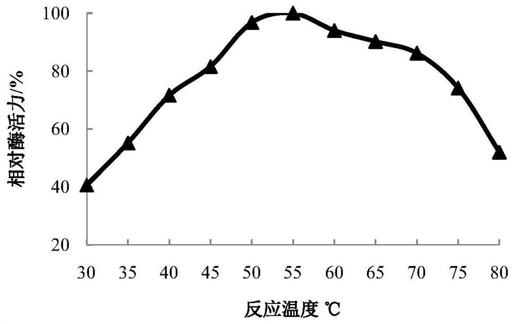 Strain for producing heat-resistant alkaline cellulase with high yield and production method thereof