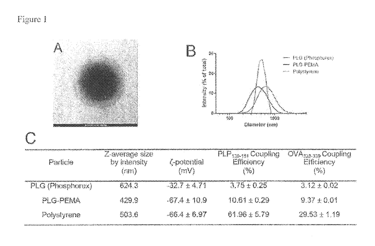 Peptide conjugated particles