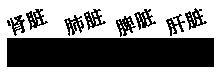 Method for efficiently extracting sheep viscus tissue protein