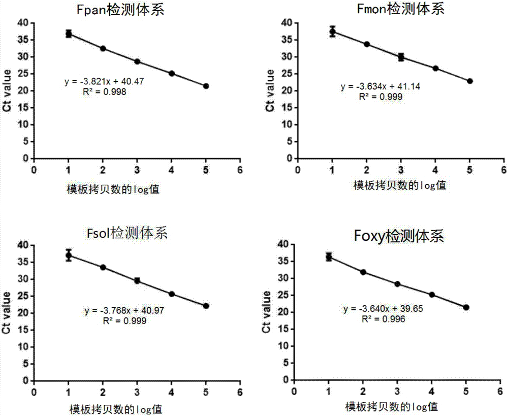 Fusarium disease pathogenic bacteria RT-PCR (reverse transcription-polymerase chain reaction) detection primer and probe combination and kit