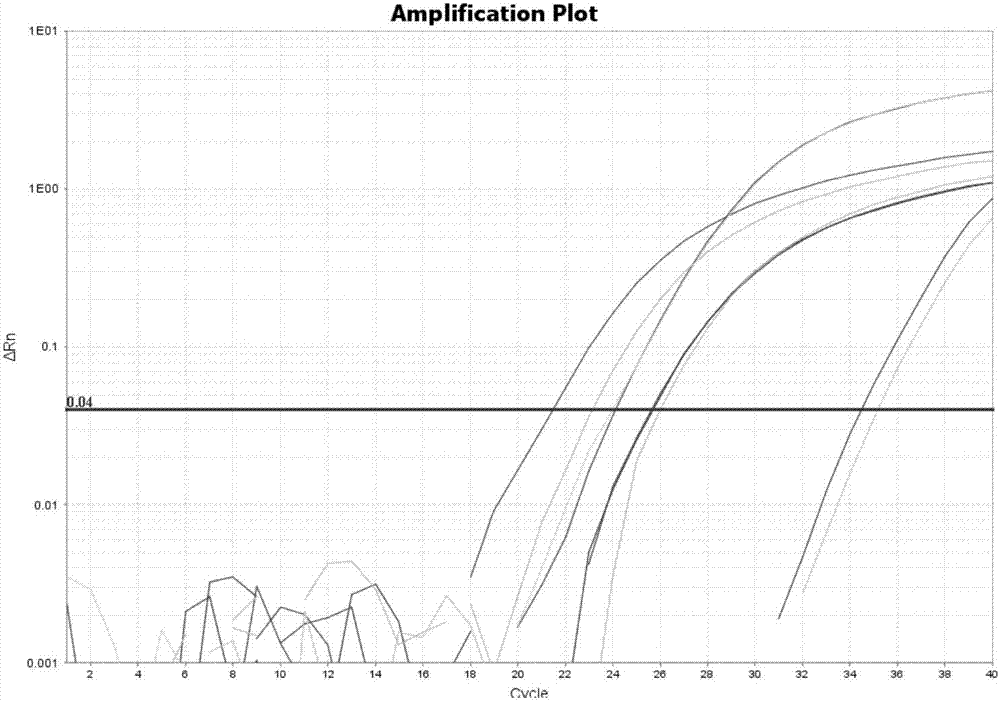 Fusarium disease pathogenic bacteria RT-PCR (reverse transcription-polymerase chain reaction) detection primer and probe combination and kit