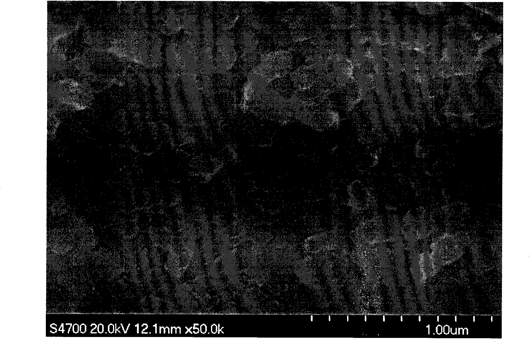 Phosphorus/carbon composite negative electrode material of lithium ion battery and preparation method thereof