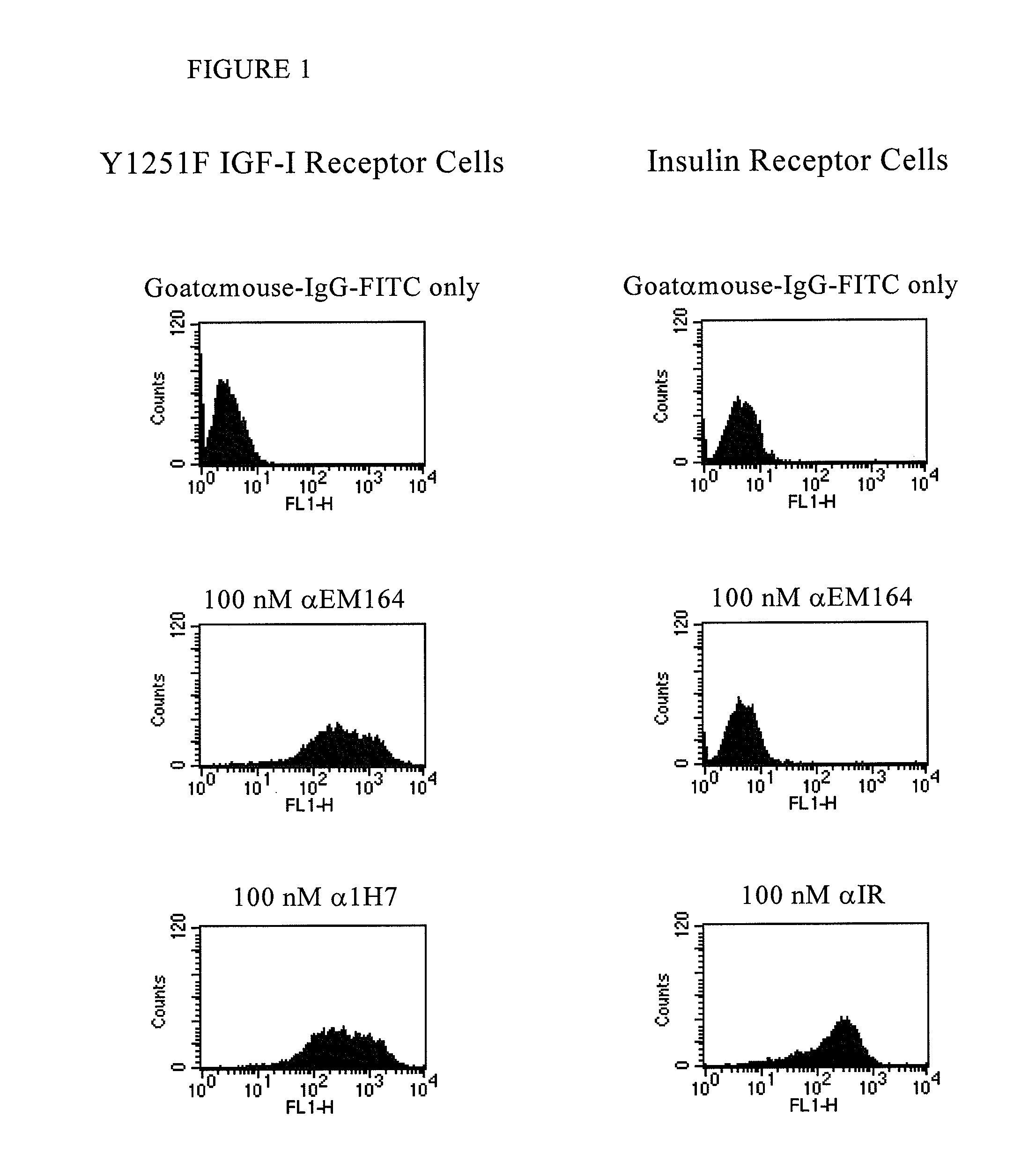 Anti-igf-i receptor antibodies