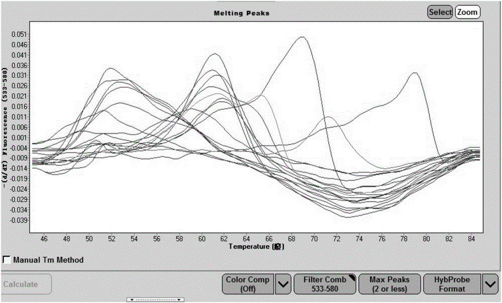 Kit for identifying bacteria by use of molecular beacon-melting curve technology and application of kit