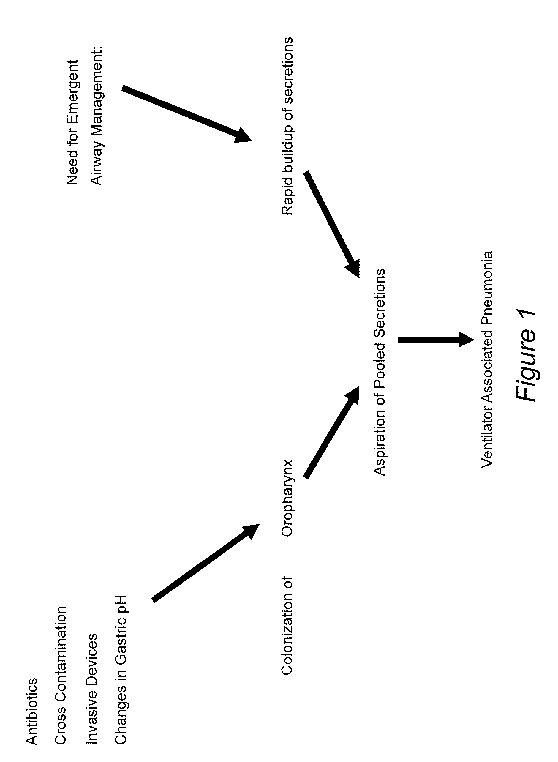 Prevention of ventilator associated pneumonia (VAP)