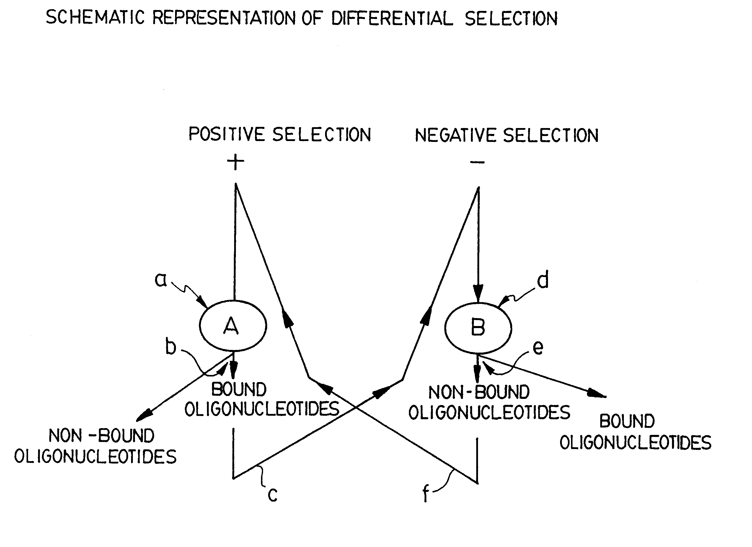 Selective technique for rapid identification of proteins and genes and uses thereof