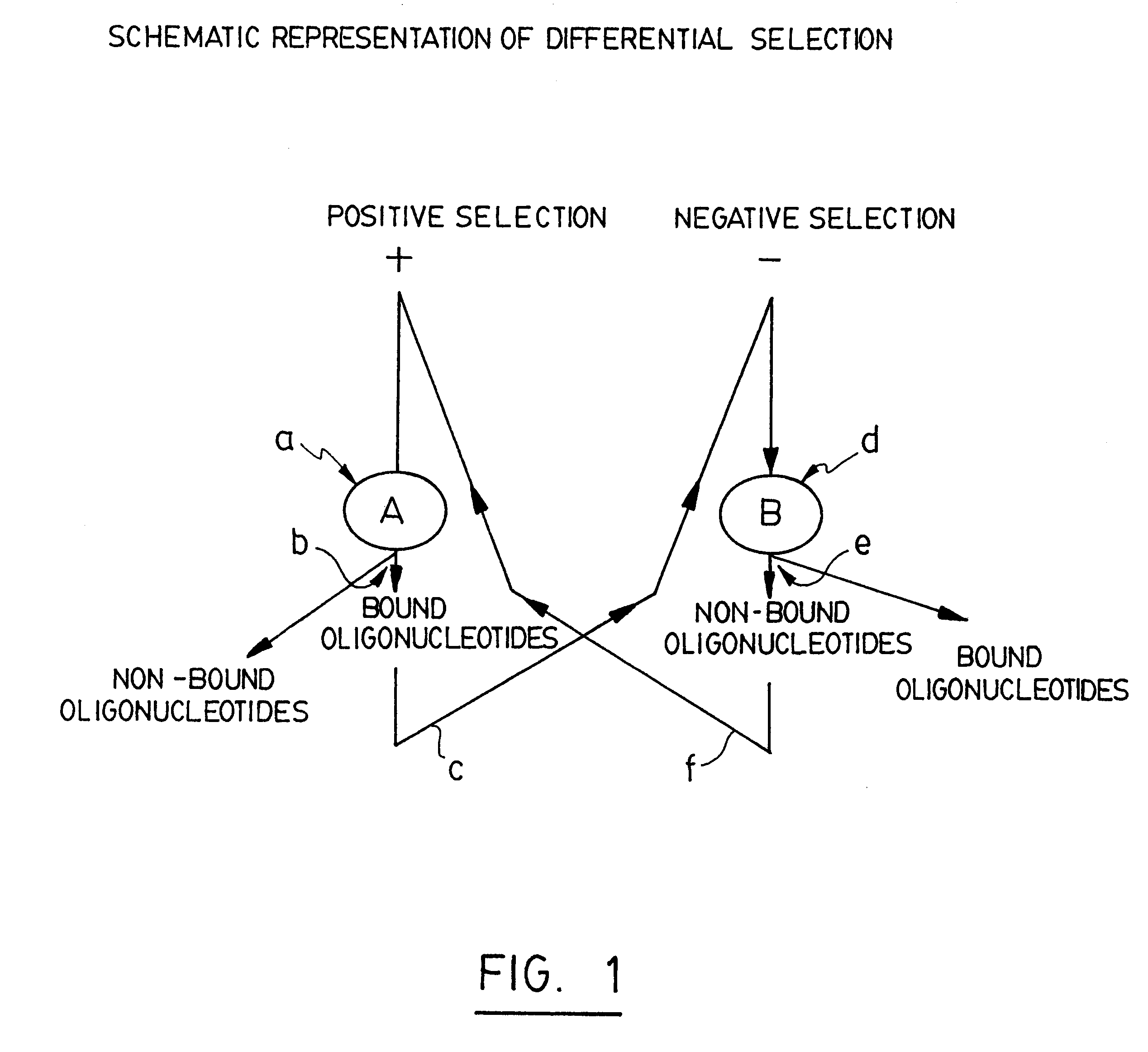 Selective technique for rapid identification of proteins and genes and uses thereof